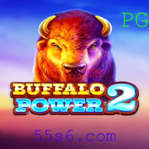 55S.COM Casino App
