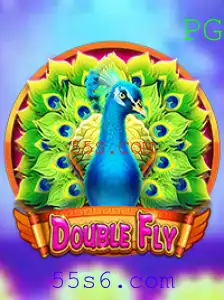 55S.COM Casino App