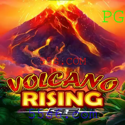 55S.COM Casino App